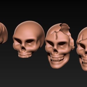 Skull_Pack_Human