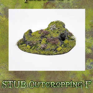 DH STUB Outcropping F cover page