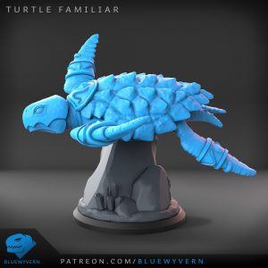 Familiar_Turtle_02