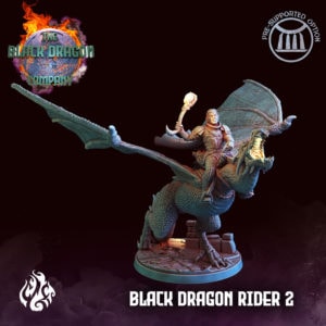 Black Dragon Rider 2_