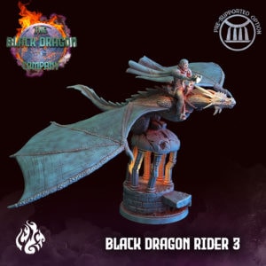 Black Dragon Rider 3_