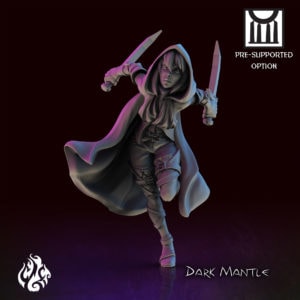 Dark Mantle, the Assassin1