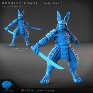 BushidoUsagi_SamuraiC_01